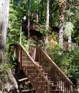 Gobles Cabin | Trendy Beach Treetops Cottage-Mill Lake