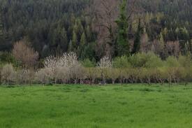Orick Other | Otter Space Deer Meadow Camp