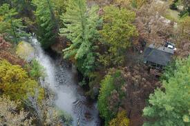 Irons Cabin | Cozy Riverfront Cabin- A Nature Lover's Paradise!