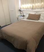 Mascot House | Sydney Dom Term 102 Robey St (Ensuited)