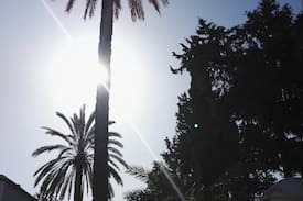 Zeytinlik Apartment | Cyprus Village House - enjoy yourself!