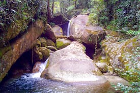 Bellenden Ker House | Wild Ginger Rainforest Retreat