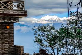 Pelling Hotel | The Ace Pine Valley Pelling, Sikkim-Standard Room
