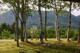 Margaree Valley House | "Eleven Birches" - Margaree, 4 season cottage