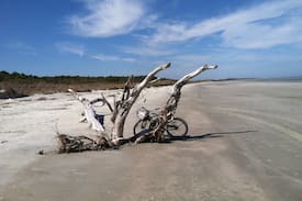 Sapelo Island House | Sapelo Island “Mint” Cottage Birdwatching Paradise