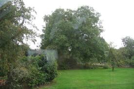 Cambridge House | The Cabbage Moor Snug