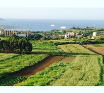 Qala Bed & Breakfast | RabArt-A homely place 1 can stay where Art is born