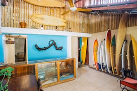 Pavones Bed & Breakfast | SURFHOUSE PAVONES ocean front dorms with a.c