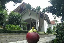 Trawas Villa | Villa Trawas (Villa Manggis)