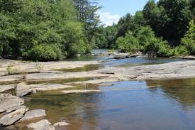 Cleveland Cabin | Chattahoochee Shoals