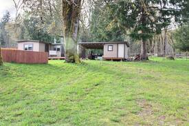 Cougar Other | The Crooked Cabin