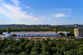 Monte Raposo House | Rufino Quinta - Casa Peacock