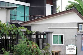Don Kaeo Other | Homestay at Chiangmai Organic Mushroom Farm.