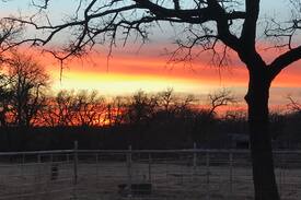 Duncan Other | Shady Oaks Farm