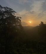 Puttur Other | “Kodikad” A hilltop forest accommodation