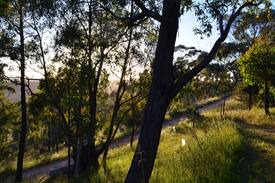 Sevenhill Bed & Breakfast | Trestrail Cottage, Sevenhill Clare Valley