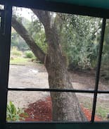 Inglis Cabin | Nita's Nest