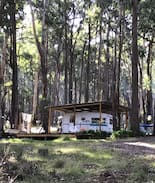 Gordon Other | Gordon Bush Retreat
