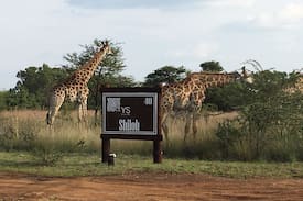 Hammanskraal Cabin | YS-Shiloh: Dinokeng big 5 Game Reserve