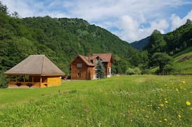 Pietroasa Villa | Meadows of Heaven-entire villa-12 persons-5 rooms