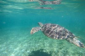 Nosy Be House | DANAE BEACH Risto Ecolodge a Nosy Sakatia Nosy Be