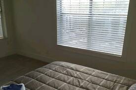 Norcross Apartment | 420 Friendly Crash Pad