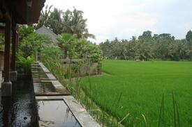 Lodtunduh Hotel | SUPER SAVER @ VILLA KAYU LAMA UBUD BALI