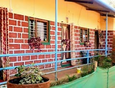 Amba Other | Barbet House of Chandoli