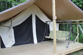 Limerick Other | Dragonfly Meadow Farm