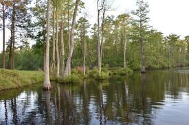 Gatesville House | The Creek House