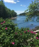 Blue Hill Apartment | Waterside Apartment at the Historic Hen House