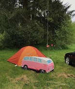 Forks Other | Savage streams camping experience