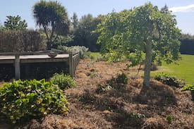 Southland District House | Toia te Manawa "Place to draw breath"