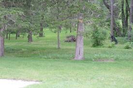Fayette Cabin | Cushion Cabins East