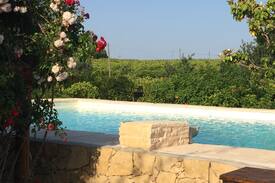 Tavira House | Horta Vermelha- Farm house- private pool- Tavira
