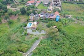 Kireka House | Yellow Haven Crested Crane