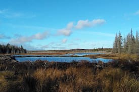 Algoma District House | BET-CHA-WANA STAY Moose cabin