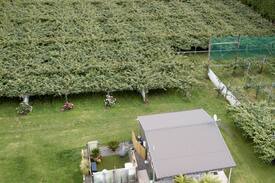 Katikati Other | Katikati Kiwifruit Cottage