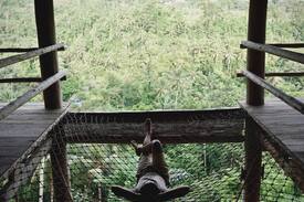 Bongkasa Pertiwi Other | Zen Hideaway #3 - with the world famous sunrise