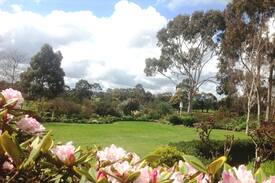 Hamilton Bed & Breakfast | Fairburns B&B
