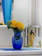 Maxwell House | CaptainCooke'sCove-"Blue Sea"-small&cosy studio