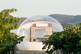 Valle de Guadalupe House | Bubble Suite 4 Campera Hotel Burbuja
