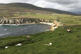 Dooega Bed & Breakfast | Mickey's Bar & Accommodation Room 7 Achill Island