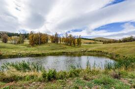 Deadwood Cabin | Muley Hill Lodge