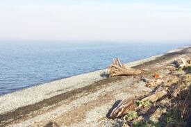 Regional District of Nanaimo House | Little Timbers