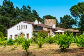 Llambilles Cabin | Exclusiva Masia Llambilles: Mas Ginestera