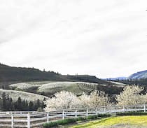 Mosier House | Carroll House at Cherry Hill Farm