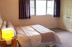 Brookby Other | Auckland Farmstay (Whitford)