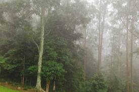 Meroo Meadow Bed & Breakfast | Berry Retreat - "Raintree" 45 Acres - be pampered