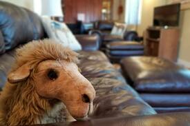 Oak Creek Apartment | Mi Casa, Tu Casa - Village of Oak Creek (Sedona)